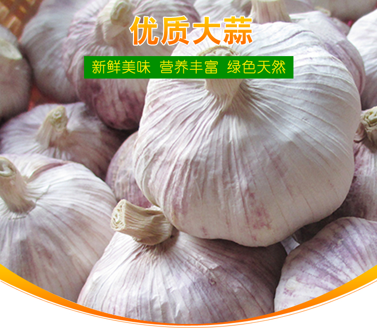 it服務(wù)外包_it維護(hù)外包_it外包服務(wù)公司