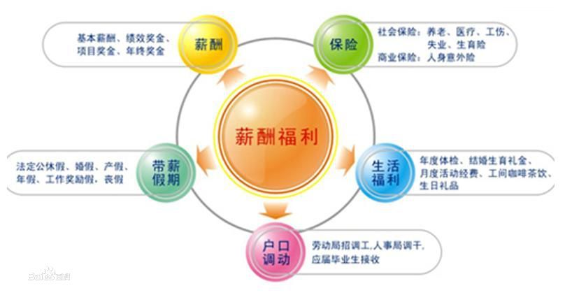 it人員是什么_it人員工作職責(zé)_it技術(shù)人員
